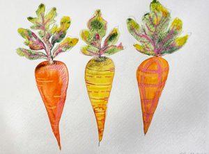 Three Carrots